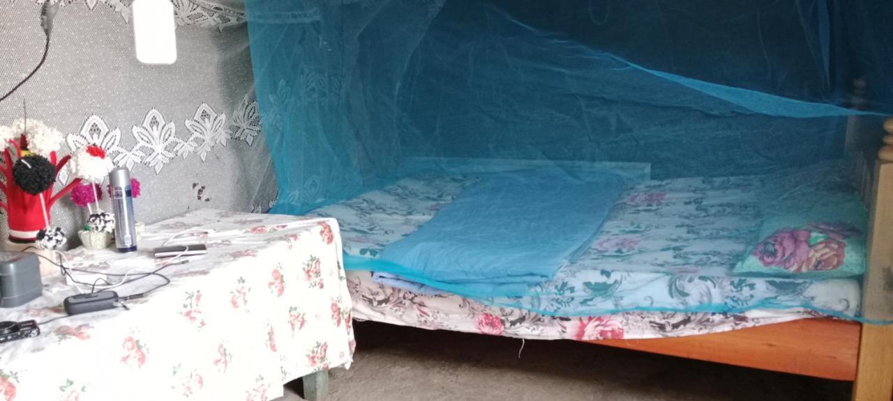 Maasai Homestay Camping Sekenani Ngoại thất bức ảnh